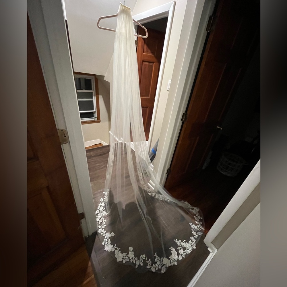 Bridal Veil, worn for 5 minutes!